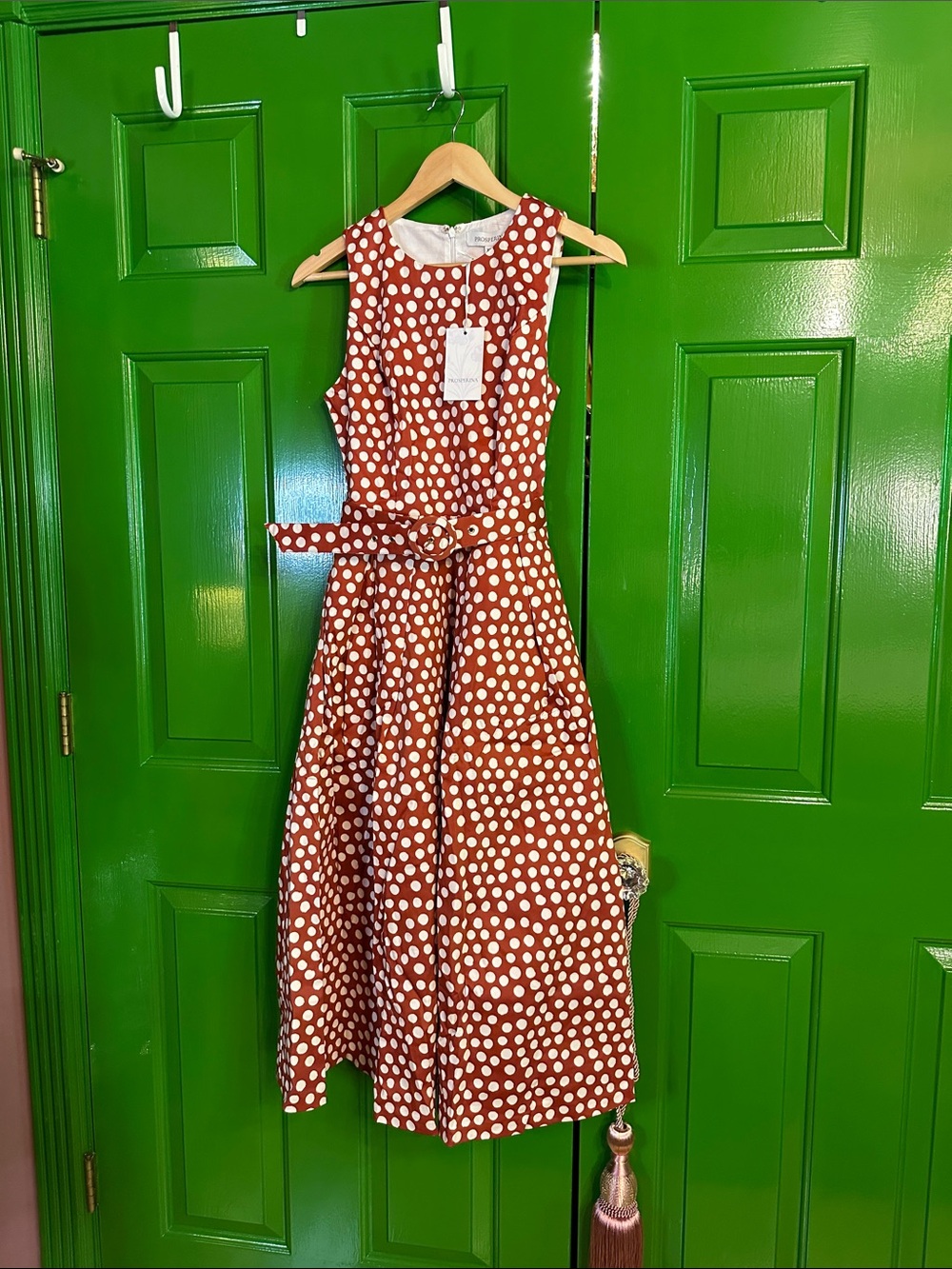 Prosperina Ava Belted Polka Dot Midi Dress NWT - Picture 6 of 9